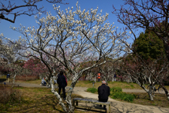 220305a山田池公園14