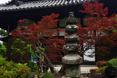 210528a恵心院10