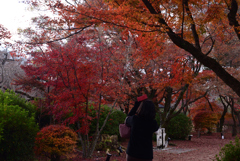 211204京都植物園18