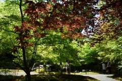 180419b長岡天満宮32+