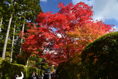 211103高野山49