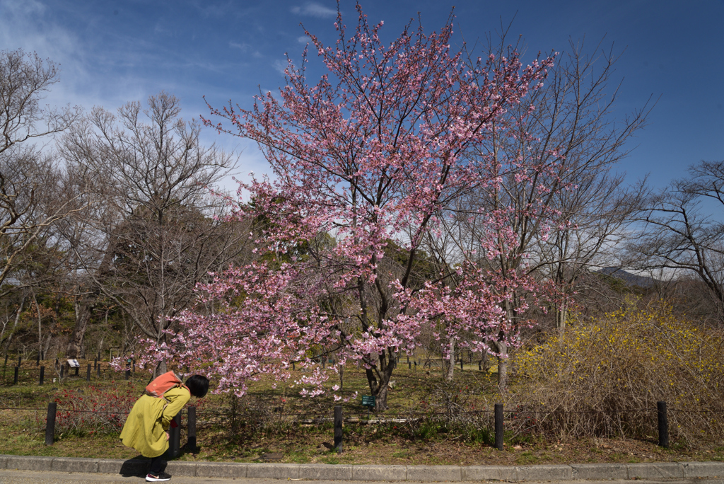 210309京都植物園30
