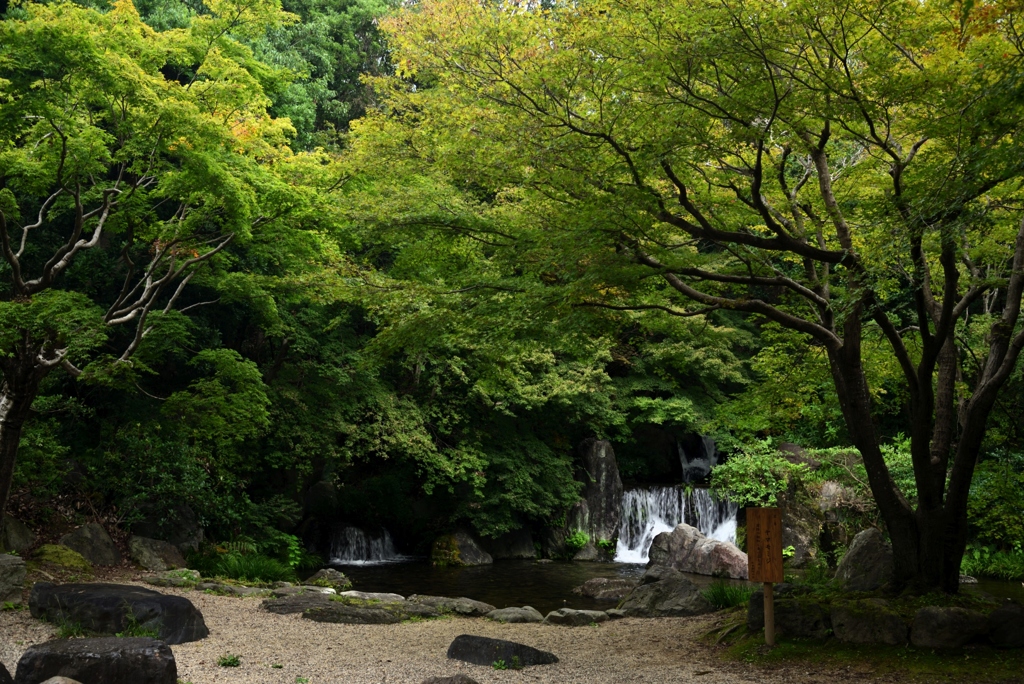 180924a万博公園32+