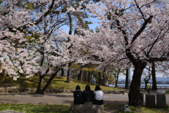 190408b膳所城跡01