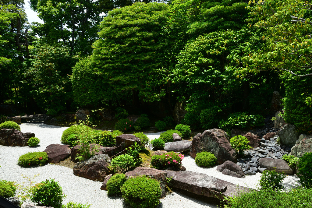 250606妙心寺退蔵院17