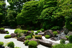 250606妙心寺退蔵院17