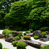 250606妙心寺退蔵院17