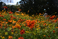 211022京都植物園10