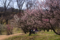 220316a市大植物園32