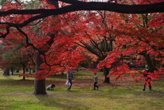 211121b京都御苑34