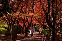 231202a京都植物園29