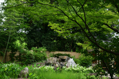 230607城北公園54