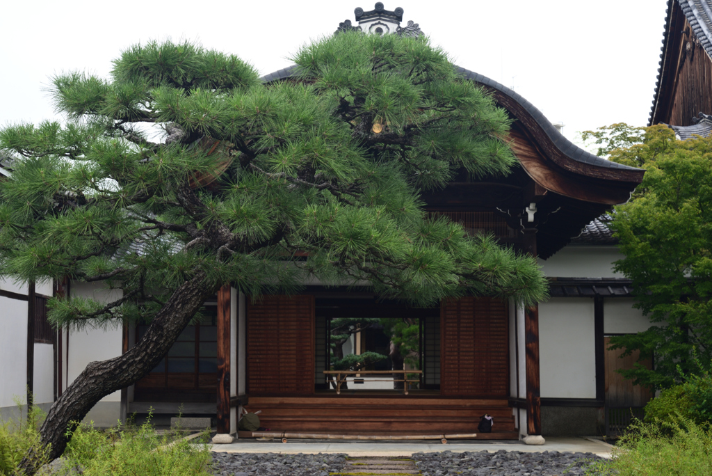 210811d妙覚寺23