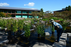 241014梅小路公園05