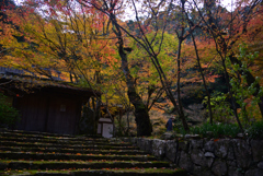 241129c佛通寺34