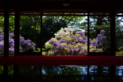 230409b妙心寺長慶院45