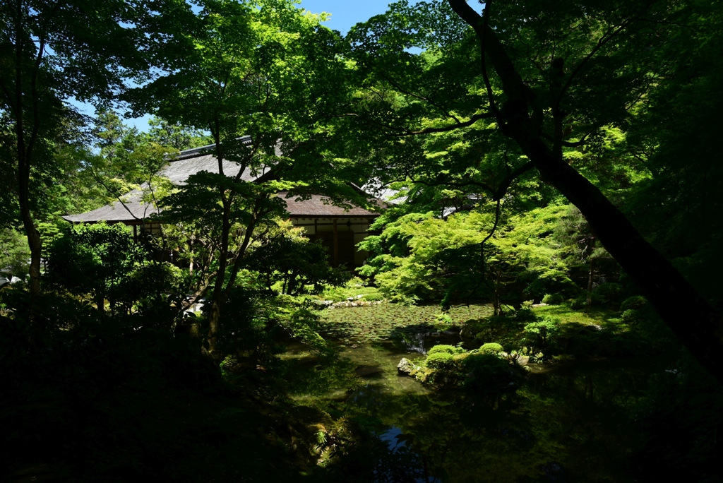 180522a南禅寺63