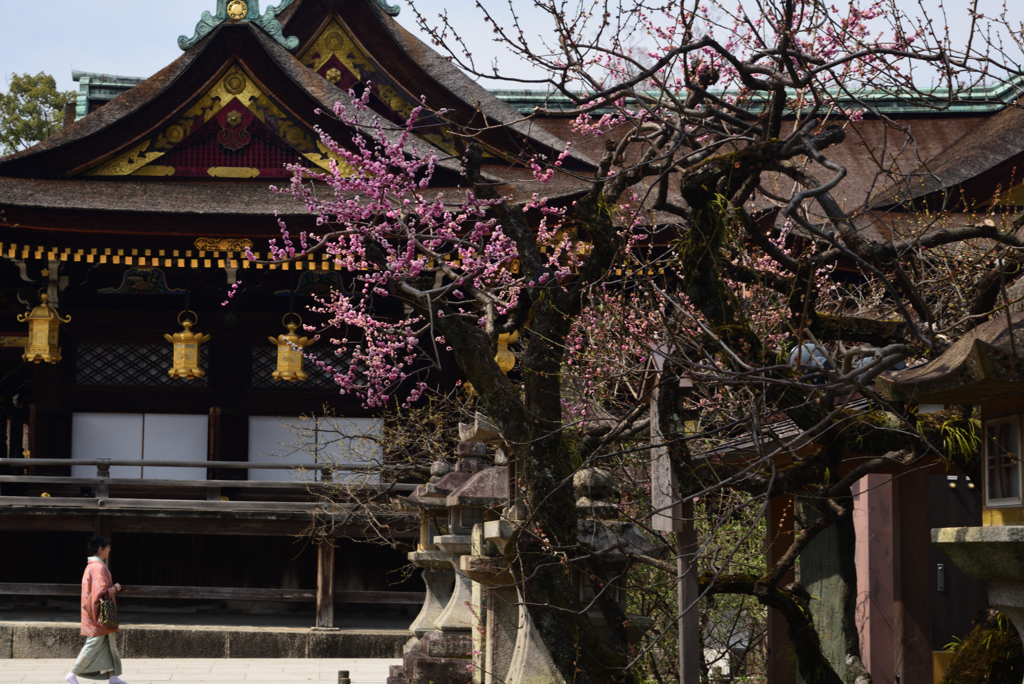 190327b北野天満宮22