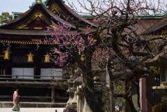 190327b北野天満宮22