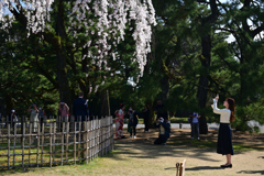 230320c京都御苑47