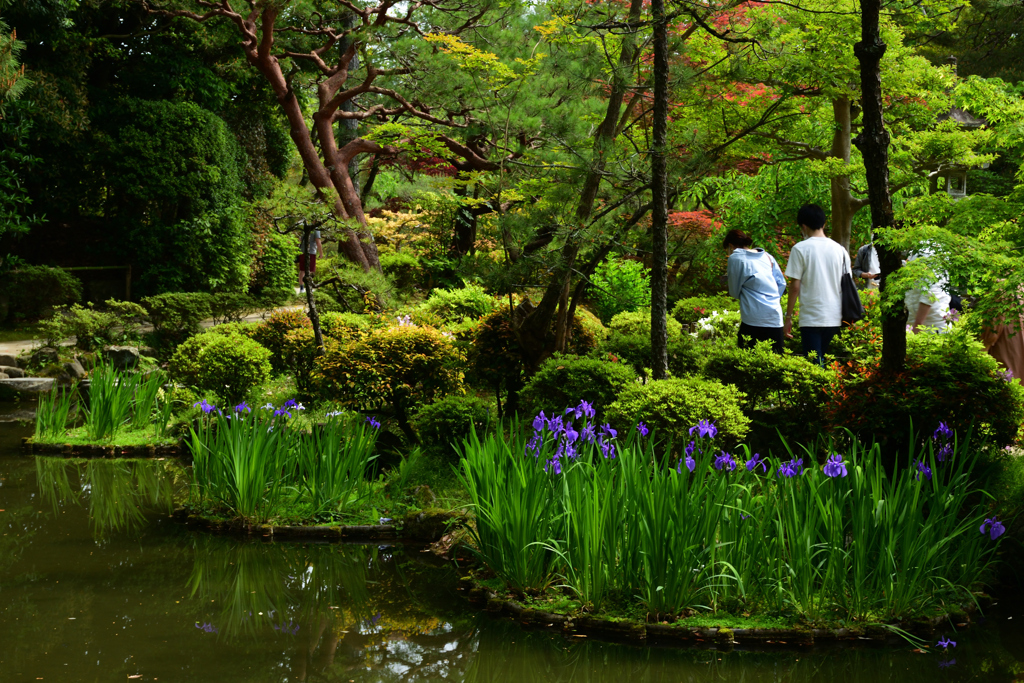 220506平安神宮38