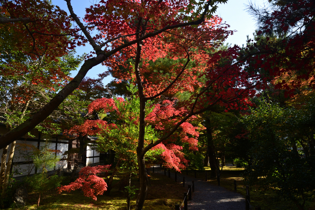 221111a清凉寺13