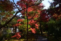 221111a清凉寺13