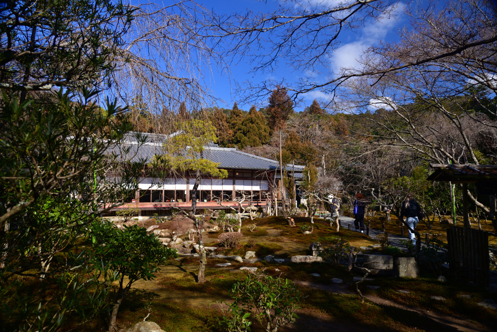250121a龍安寺36