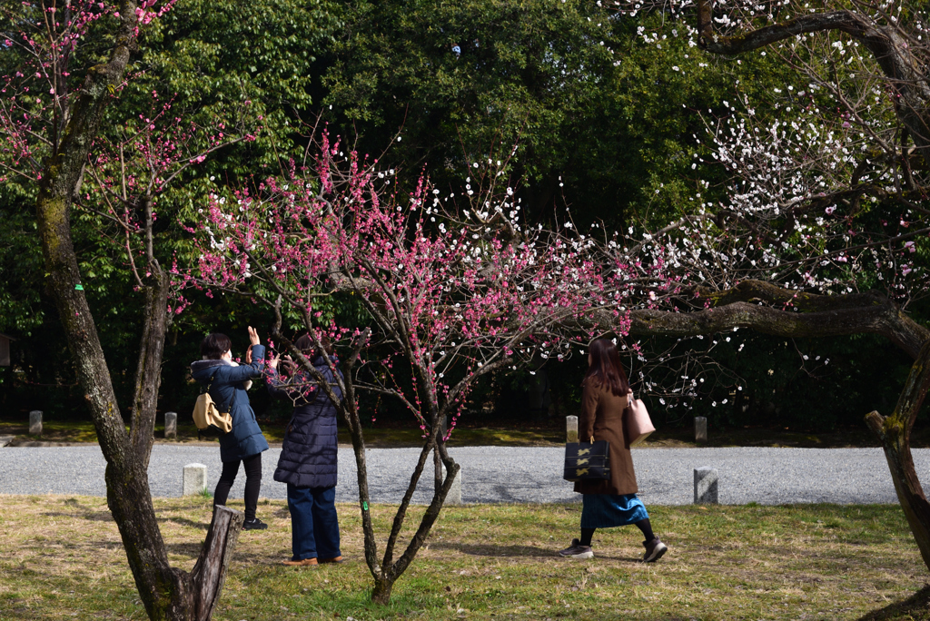 200223c京都御苑33