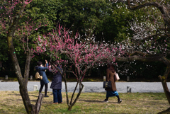 200223c京都御苑33