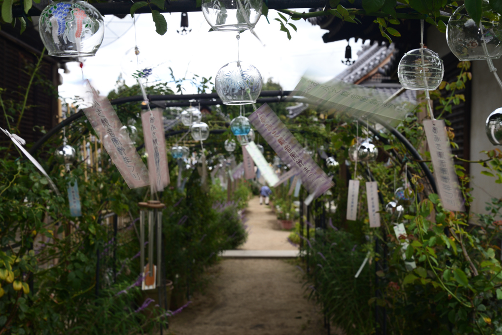 220921cおふさ観音20