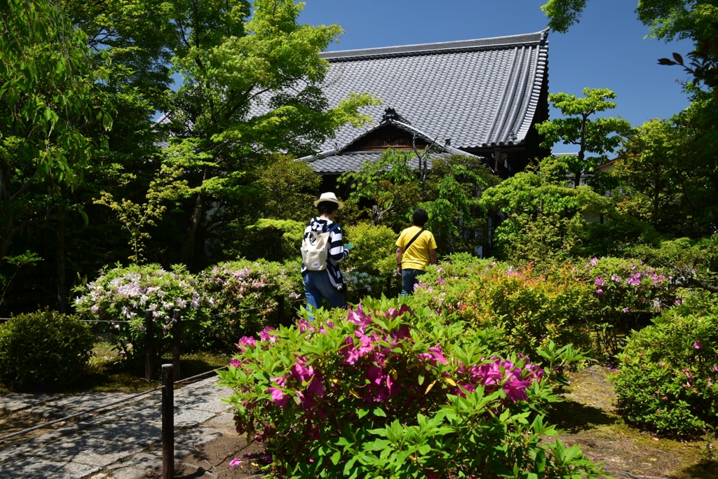 180505妙心寺08