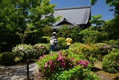 180505妙心寺08