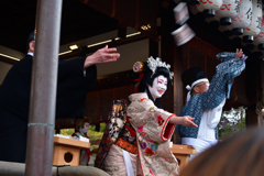 260203b八坂神社15