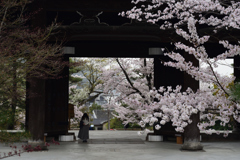 210330b金戒光明寺18