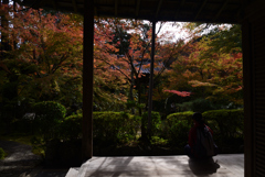 211106c西明寺27