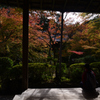 211106c西明寺27