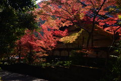 211116d吟松寺49