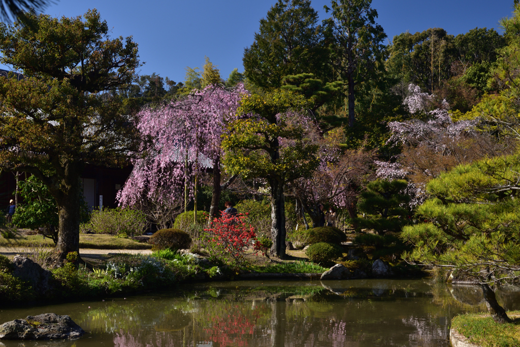 200325c法金剛院46