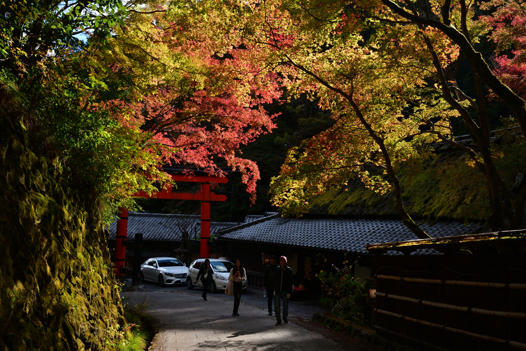 231114d愛宕念仏寺08