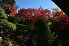 191123d霊鑑寺44
