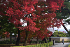 211121a相国寺06