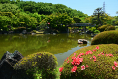 250605b大仙公園35