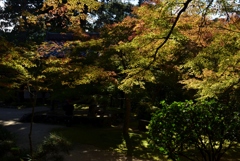 181103a西明寺28