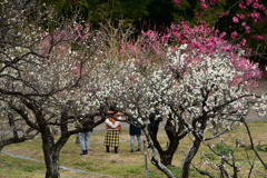 240210a山田池公園34