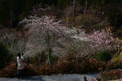 240224a石山寺27