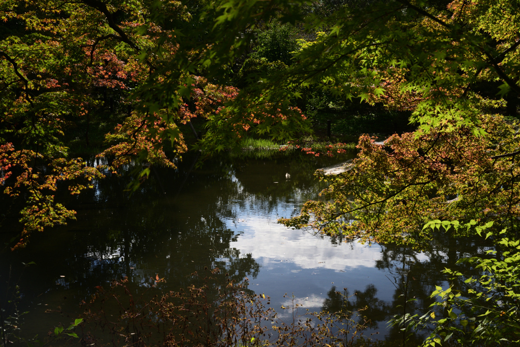 211022京都植物園52