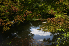 211022京都植物園52