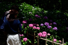 180616万博公園36+