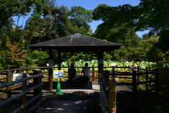 211002京都植物園48